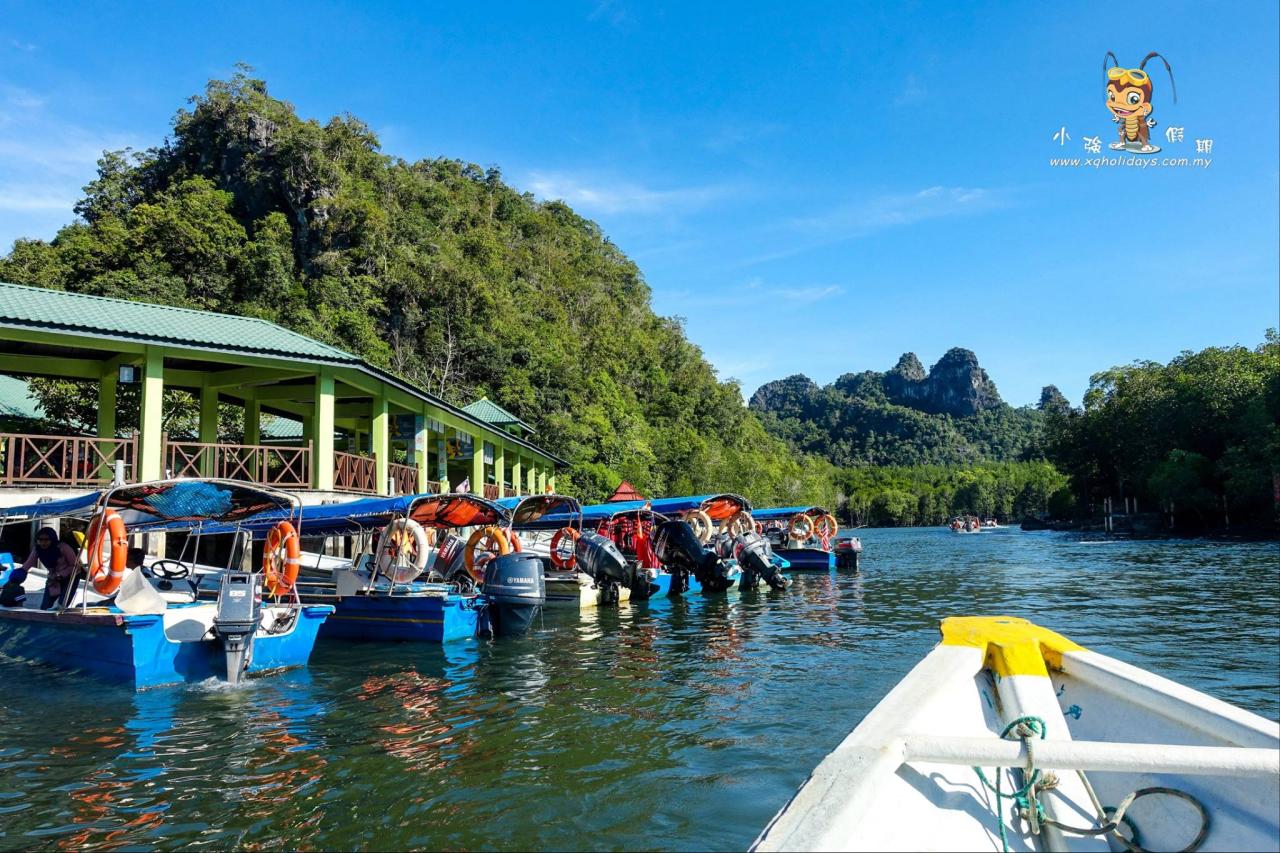 Jelajahi Mangrove Langkawi: Tur Edukasi dan Rekreasi